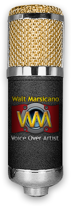 Voiceovers By Walt - Professional Voice Overs and Voice Over Talent based in Tampa Bay Florida